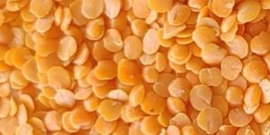 Red Split Lentils