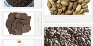 Neem Cake Fertilizer