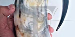 Buffalo Drinking Horns