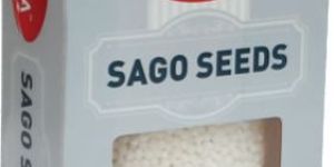Sago Seeds