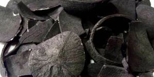 Coconut Shell Natural Charcoal