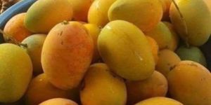 Mangoes