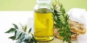 Curry Leaf Oil