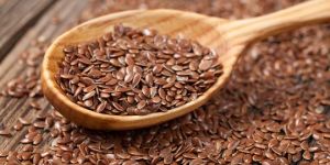 Flax Seeds