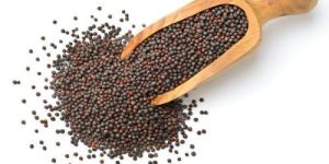 Mustard Seeds (Rai)
