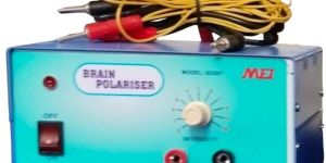 Brain Polarizer