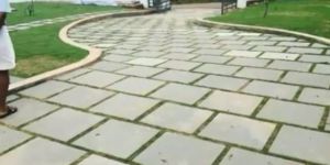 Natural Kota Stone