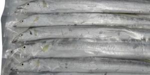 Frozen Ribbon Fish