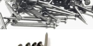 Steel Wire Nails