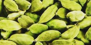 Green Cardamom