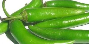 Fresh Green Chilli