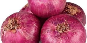 Fresh Red Onion
