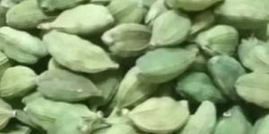 Green Cardamom