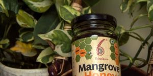 Mangrove Honey