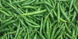 Fresh Green Chilli