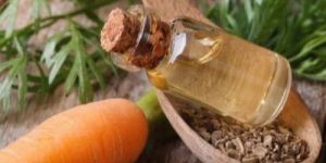Carrot Seed Essential Oil