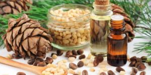 Cedarwood Essential Oil