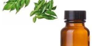 Curry Leaf Essential Oil