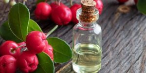 Natural Wintergreen Oil