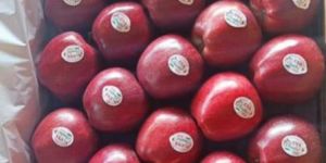 Red Delicious Apple