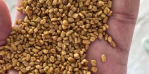 Methi Dana Fenugreek Seeds