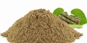 Organic Guduchi Powder