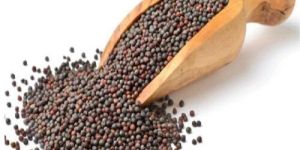 Black Mustard Seed