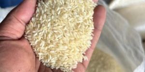 Sona Masoori Raw Non Basmati Rice