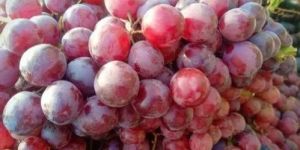 Fresh Organic Red Grapes