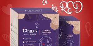 100 Liners 155mmPanty Liner Pad