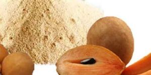 Brown Chikoo Sapodilla Powder