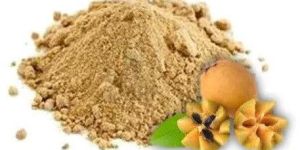 Spray Dried Chikoo Powder