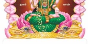 Custom Printed Calendar