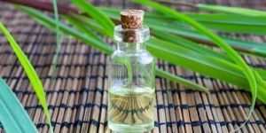 Citronella Essential Oil
