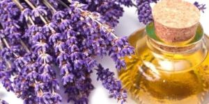 Lavender Essential Oil