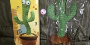 Dancing Cactus Toy