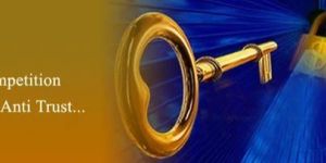 Antitrust and Competition Law Service