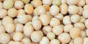 White Pea Beans