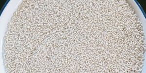 Fortified Rice Kernels