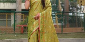 Organza Silk Sarees