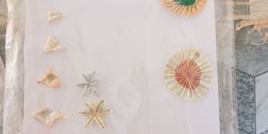 White Mogra Samosa Patti