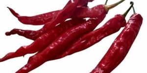 Dry Red Chilly Whole