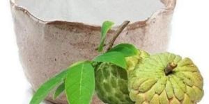 Spray Dried Custard Apple Powder