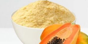 Spray Dried Papaya Powder
