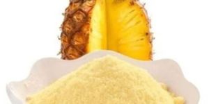 Spray Dried Pineapple Powder