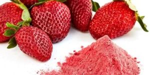 Spray Dried Strawberry Powder