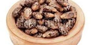 Natural Castor Seeds