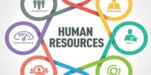 Human Resource Service