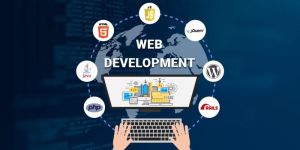 Website Development Service
