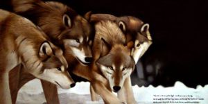 Wolf Paintings